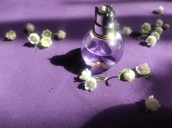 Parfum dan Kepercayaan Diri: Mengapa Wangi yang Tepat Memengaruhi Mood dan Identitas